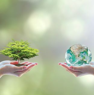 The hidden complexity of biodiversity compliance