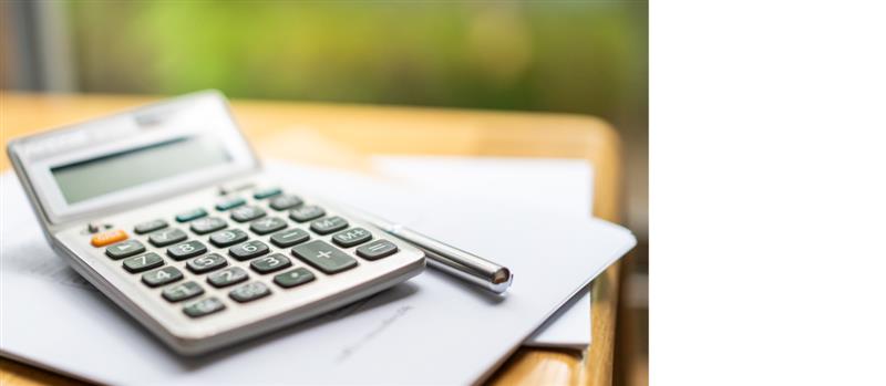 The digital frontier: Navigating the ‘Virtual Service PE’ in international taxation
