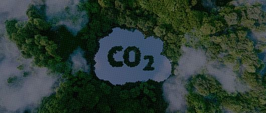 Navigating India’s carbon markets