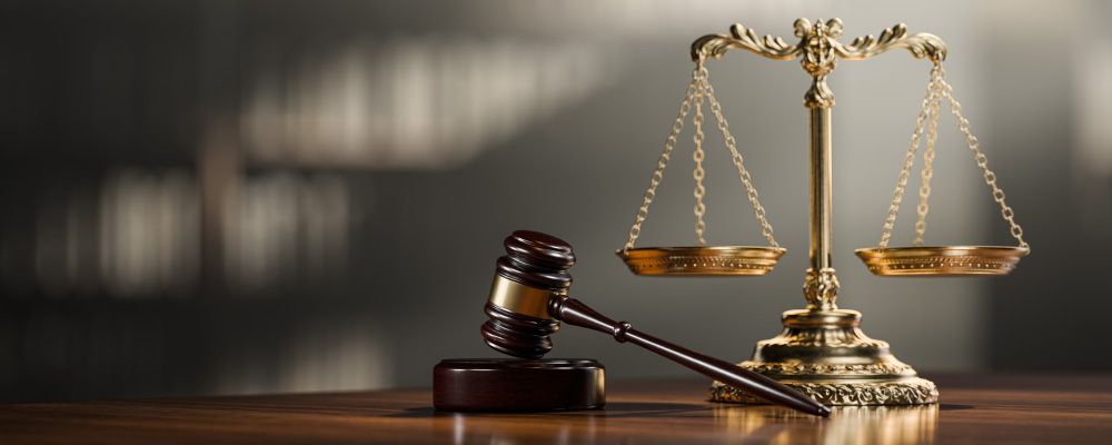 Release of detained consignment under Section 129 – Adjudication of ownership is not relevant