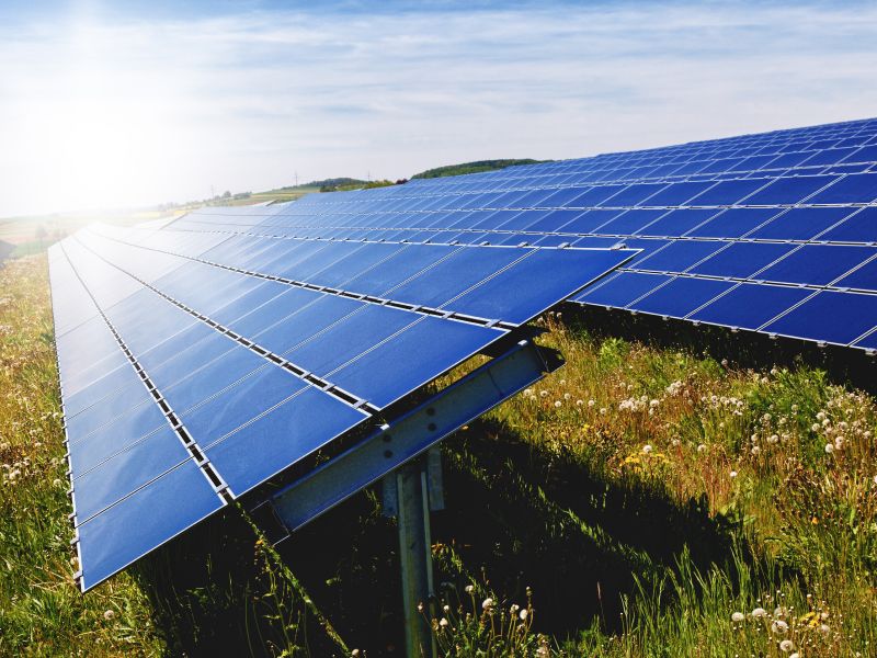 India’s solar sector at crossroads of trade remedy actions by USA