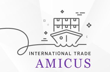 International Trade Amicus: November 2024