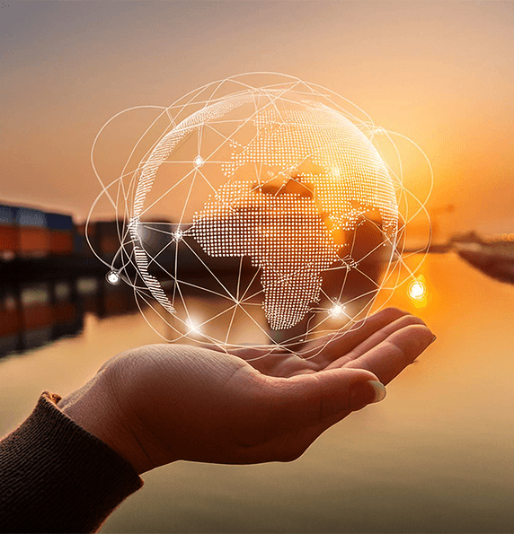 Our Trade Remedy Services