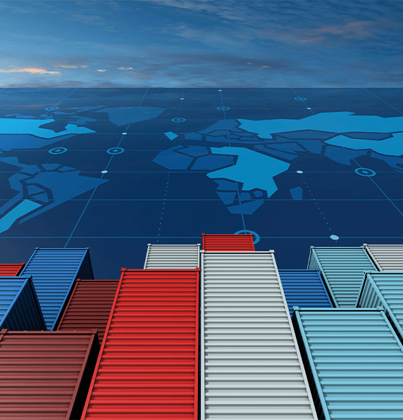 Comprehensive Transfer Pricing Support