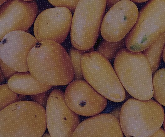 Farm to Food: Key Trends and Regulatory Outlook in Agritech