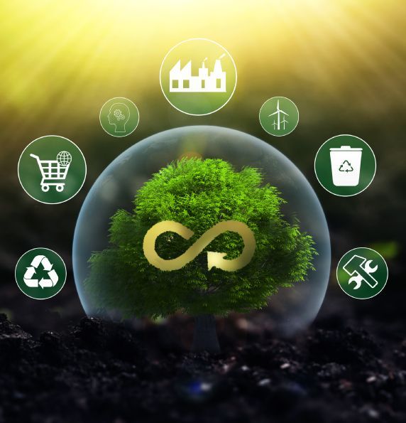 Comprehensive ESG and sustainability support illustration