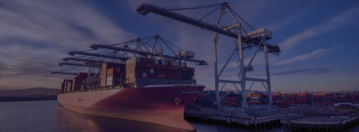 The price puzzle: Unpacking the distinct roles of Reference Price and Minimum Import Price in the Indian trade laws