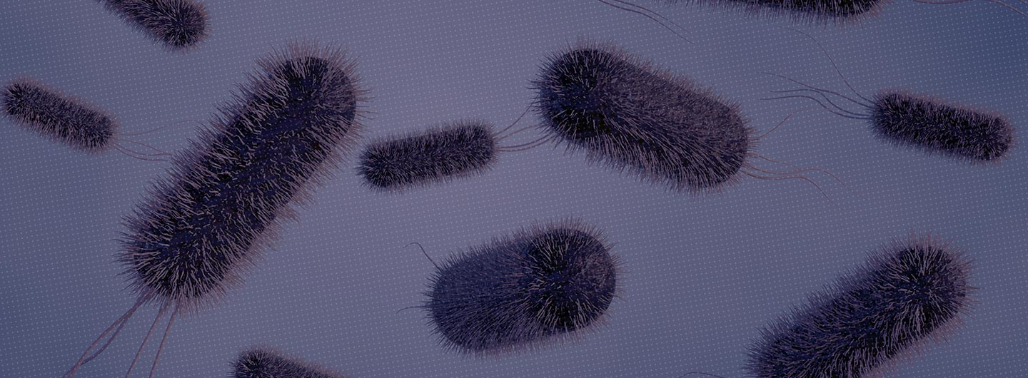 Recombinant Salmonella is a ‘discovery’ under Section 3(c)