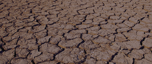 Climate change: A catalyst for agritech?