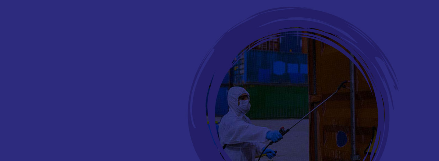 Impact of Coronavirus Lockdown