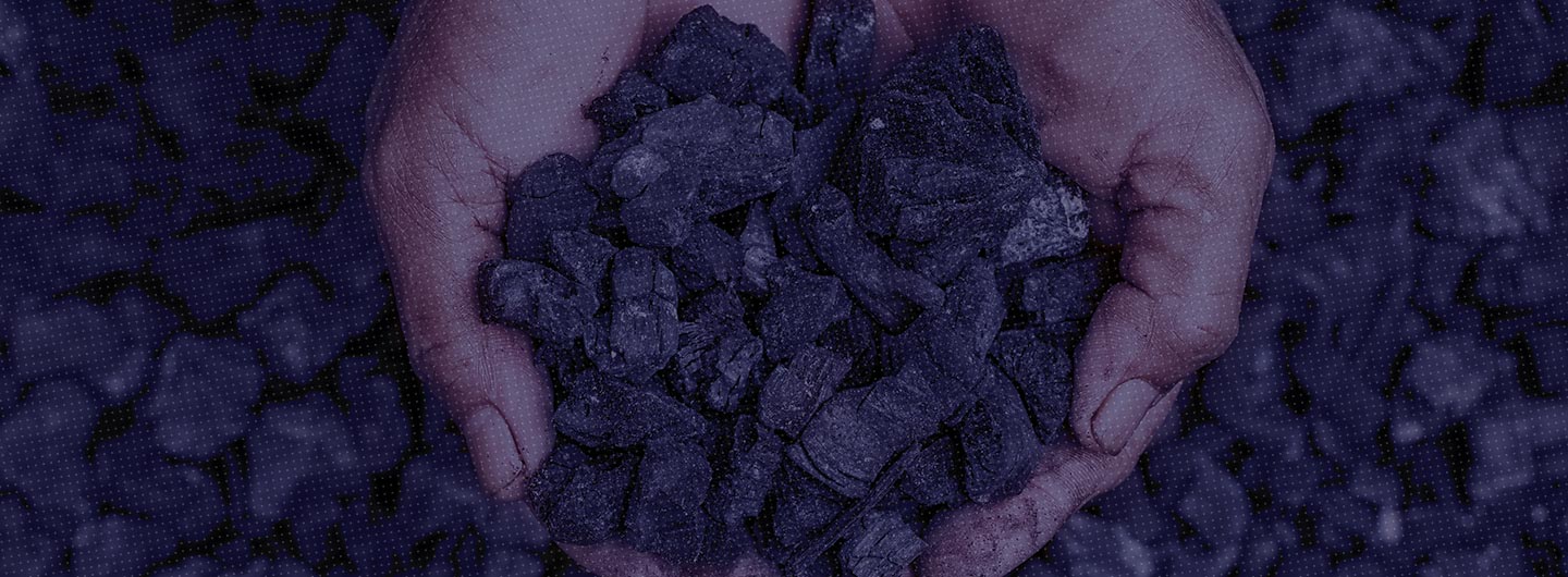 Quantitative restrictions on imports of metallurgical coke affirmed