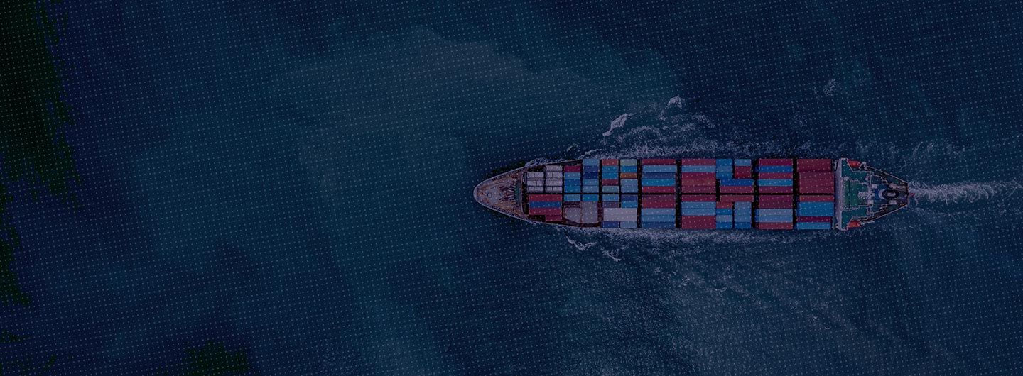 Draft FEMA Import and Export Regulations: Hits and Misses