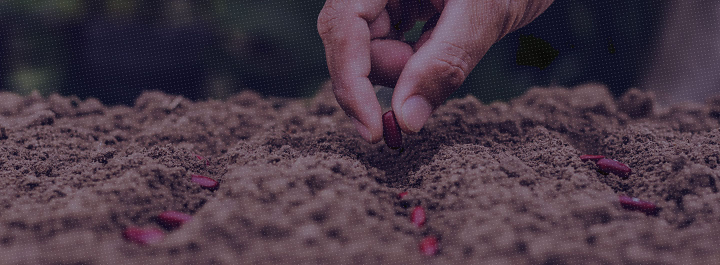 Seed industry: An overall perspective
