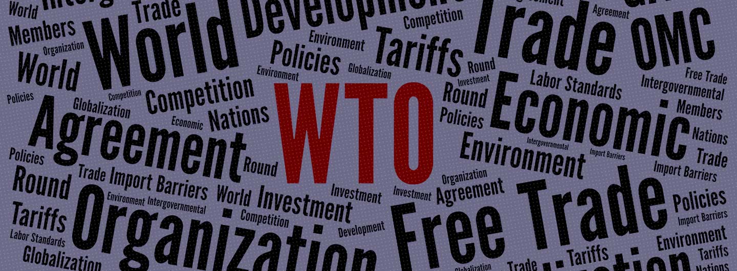 The WTO’s 13th Ministerial Conference – Finding Order in times of chaos?
