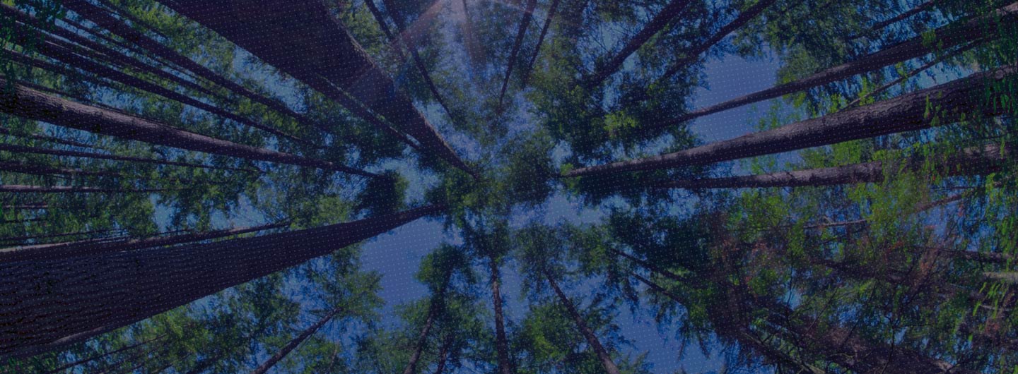 Webinar - The Biodiversity Act & compliance in India