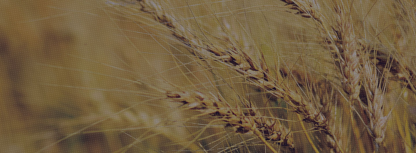 Farm Acts and agritech: Is the time ripe for the agri sector to bloom?