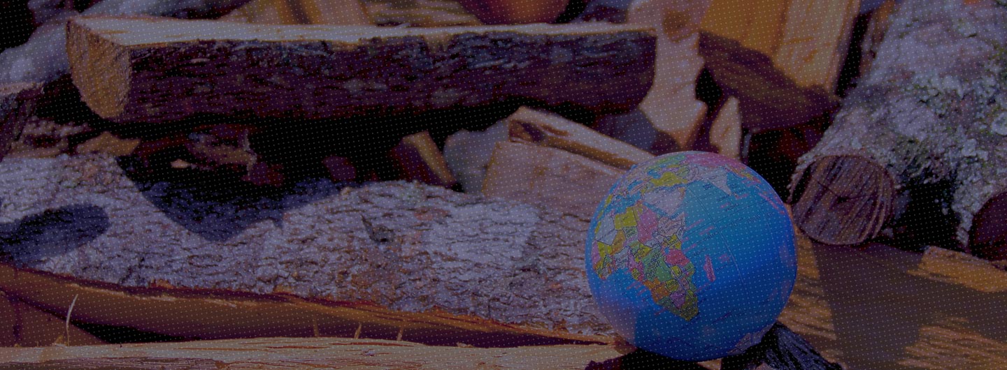 Navigating the EU Deforestation Regulations: Scope